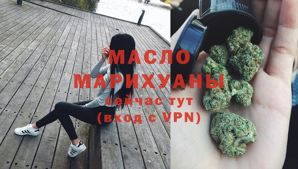 индика Бежецк