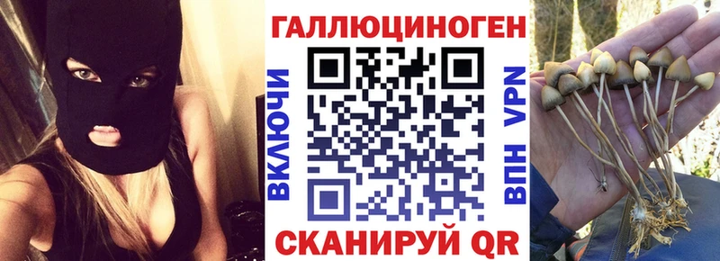 Псилоцибиновые грибы Magic Shrooms  Куртамыш 